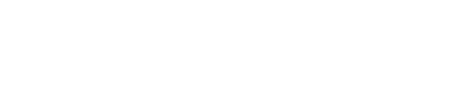 AluNet